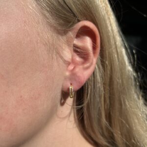 Oorringen met zirkonia