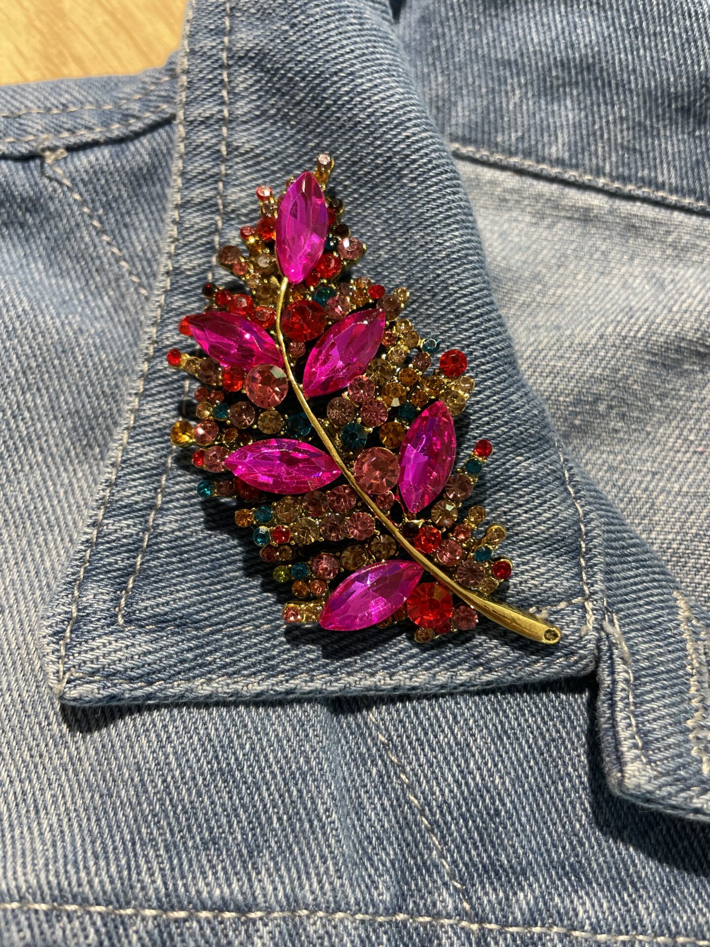 Broche gekleurd blad