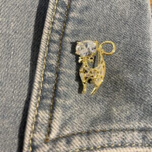 Broche poesje