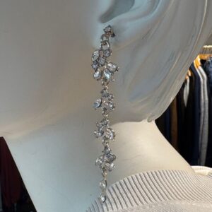 Oorbellen lange strass